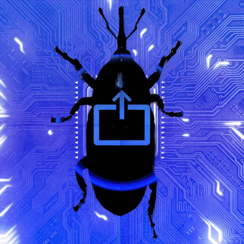 An AI Found a Zoom Takeover Bug in Under 20 Prompts. Your Patch Habits Are the Real Story.
